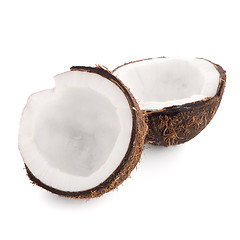 Image showing Coconut