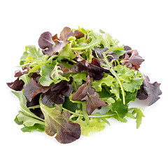 Image showing Fresh salad mix