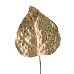 Image showing Beautiful decorative golden leaf 