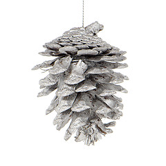 Image showing Pine cone painted with white