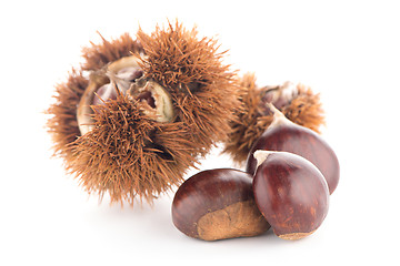 Image showing Chestnuts with shell 