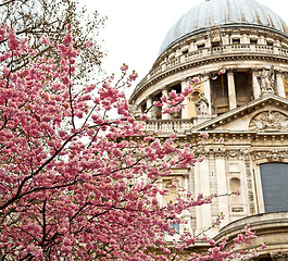 Image showing st paul cathedral in london england old construction and religio