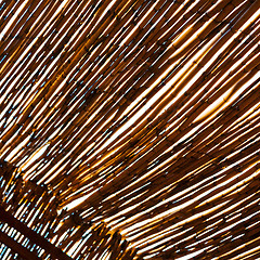 Image showing morocco abstract bamboo roof in the  africa  sky