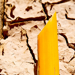 Image showing cracked sand in morocco africa desert abstract macro bark