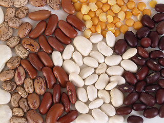 Image showing Bean Soup Ingredients