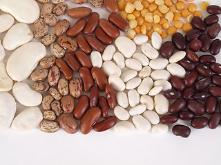 Image showing Bean Soup Ingredients, text