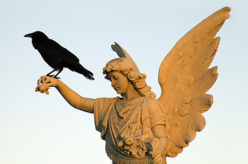 Image showing crow and angel