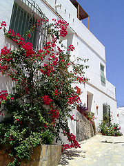 Image showing House and Roses