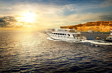 Image showing Yachts in Red sea