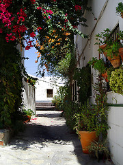 Image showing Street and Flowerpots