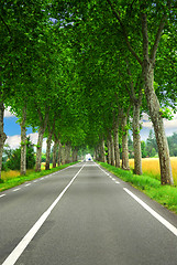 Image showing French country road