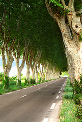 Image showing French country road
