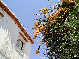 Image showing House, Bloom and Sky