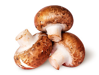 Image showing Three whole fresh brown champignons