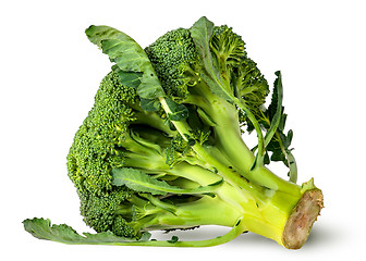 Image showing Big broccoli florets with leaves