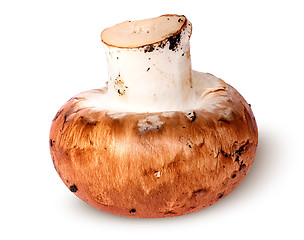 Image showing Single whole brown champignon top view