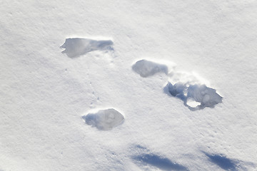 Image showing snow covered field  