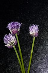 Image showing chives