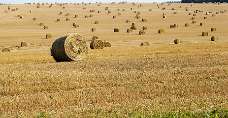 Image showing stack of straw in the field  