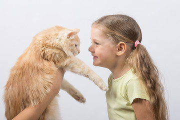 Image showing Four-year girl gave the cat