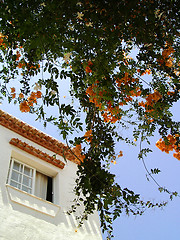 Image showing House and Flowers