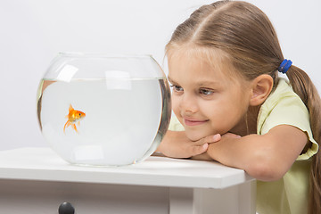 Image showing Six year old girl put her head on the handle and looks at a goldfish in an aquarium