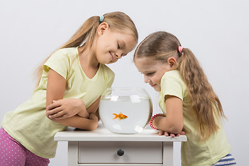 Image showing Two girls looking at a goldfish