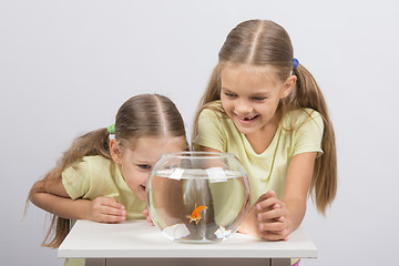 Image showing The girls are laughing and having fun watching the behavior of goldfish