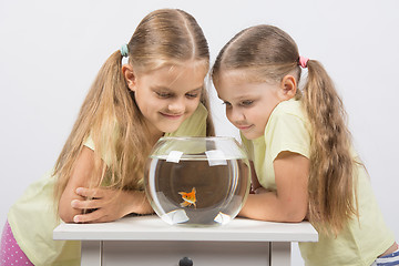 Image showing Two girls looking down at a goldfish in an aquarium