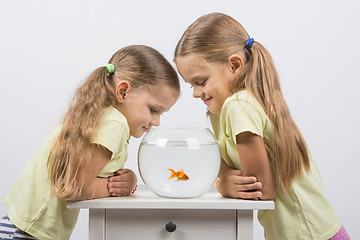 Image showing Two little sister gave an aquarium with goldfish