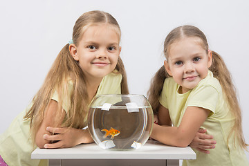 Image showing Two girls sit at a round aquarium with goldfish and look in the frame