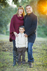 Image showing Young Mixed Race Family Portrait Outdoors