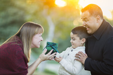 Image showing Young Mixed Race Son Handing Gift to His Mom