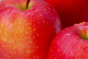 Image showing Red apples macro