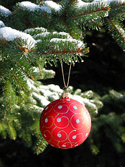 Image showing Red Christmas ball on fir tree