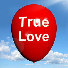 Image showing True Love Balloon Represents Lovers and Couples