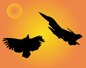 Image showing aircraft and bird eagle