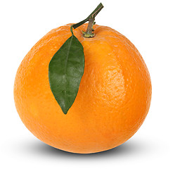 Image showing Ripe orange fruit