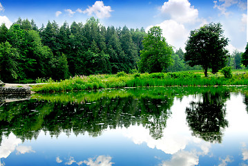 Image showing River landscape