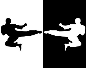 Image showing karate kick in the jump