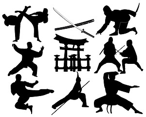 Image showing martial arts