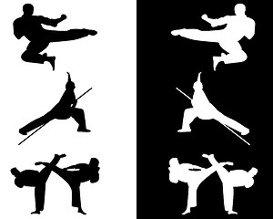 Image showing taekwondo and karate