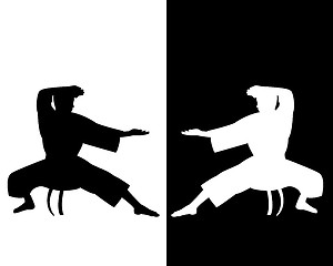 Image showing two karateka