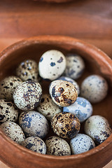 Image showing Fresh quail eggs