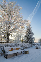 Image showing A beautiful city park with trees covered with hoarfrost