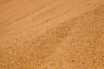 Image showing wheat crop. grain