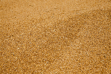 Image showing grain wheat .   heap 