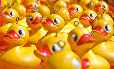 Image showing rubber ducky you are the one