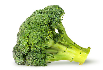 Image showing Large inflorescences of fresh broccoli lying