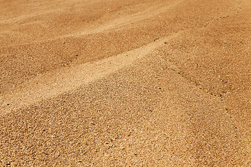 Image showing heap of wheat grains  